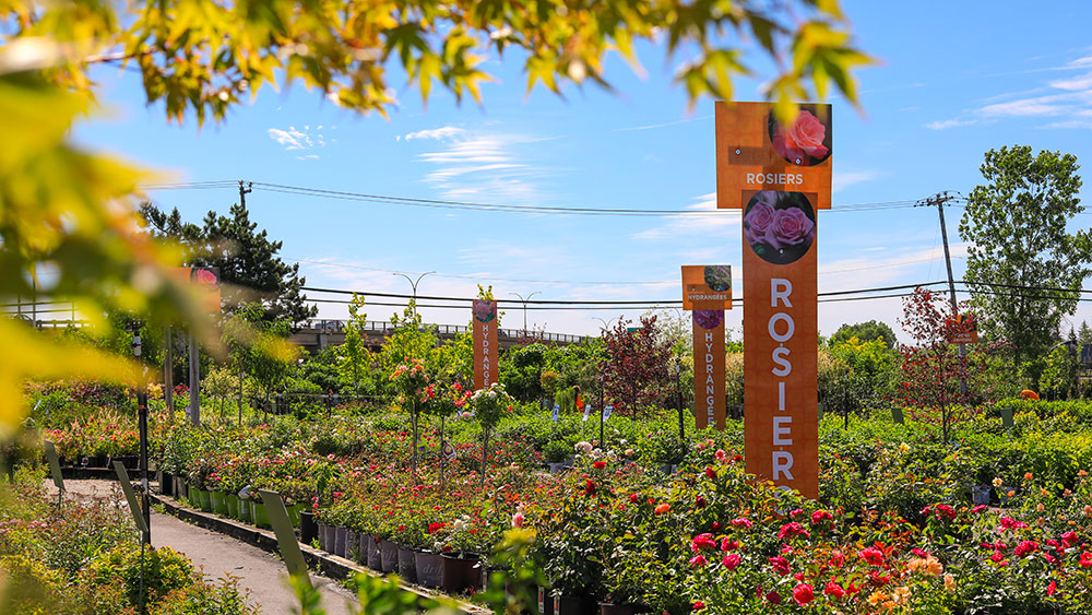 Centre de Jardin Floréal in Laval