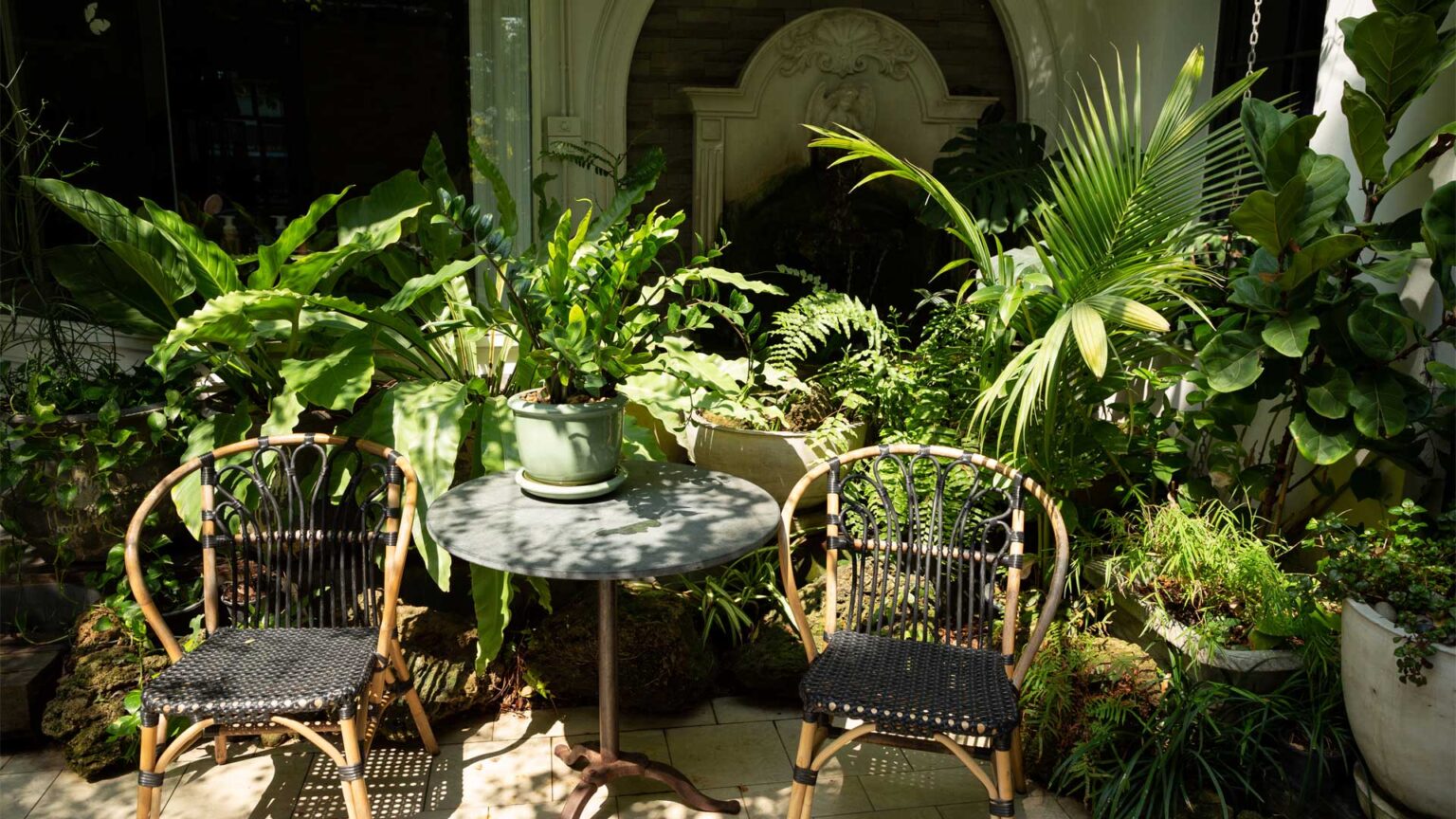 Taking houseplants outside on the terrace during the summer