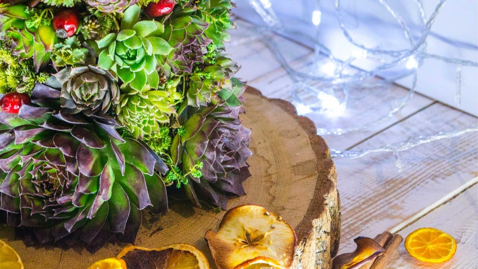 How to make a DIY mini Christmas tree with succulents?