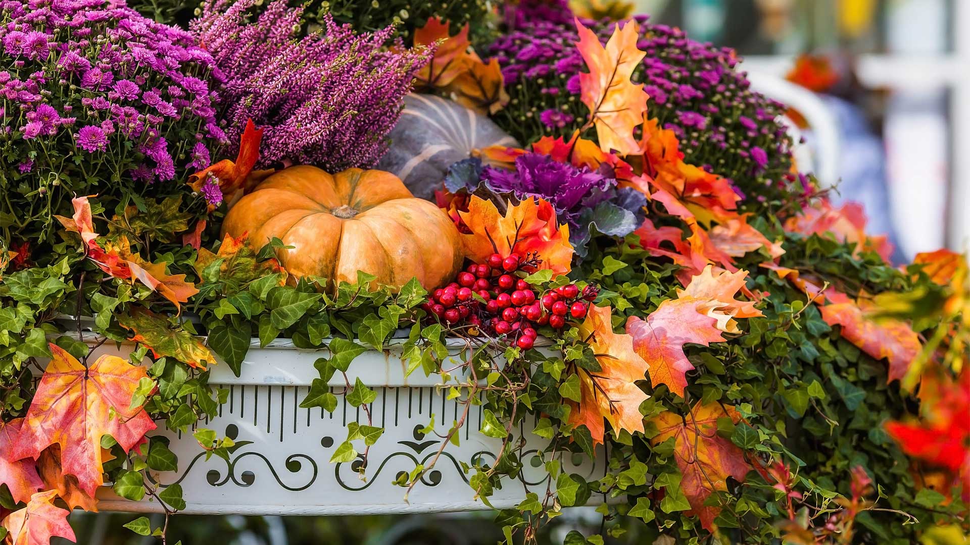 Centre de Jardin Floréal en automne