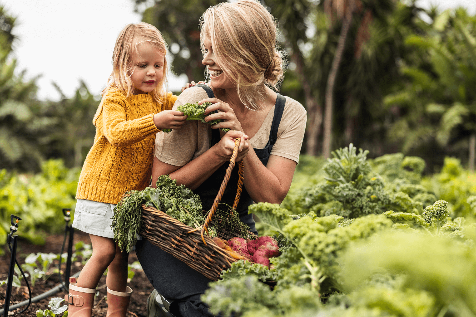 Jardinage et bien-être mental avec plantes et nature