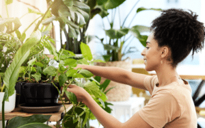 Comment bien arroser ses plantes : fréquence, méthodes et erreurs fréquentes